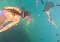 Vídeo: turista é mordida por tubarão durante mergulho em Noronha