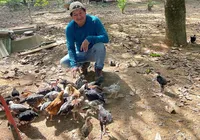 Adeus garimpo: Tecnologias agricolas são implantadas na terra Yanomami imagem