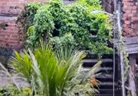 Adolescente é morto a tiros em escadaria de Mirantes de Periperi