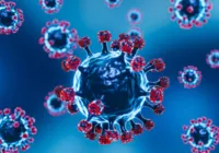 Após surto na Índia, vírus Nipah entra no radar do Brasil