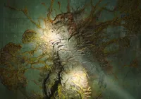 Aranha zumbi? Fungo de The Last of Us infecta criatura gigante no Brasil