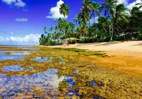 Bahia na lista: cinco destinos turísticos para curtir o Carnaval imagem