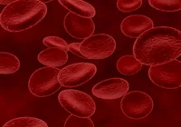 Câncer do colo do útero: Novo exame usa sangue menstrual para detecção imagem