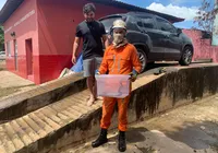 Cobra é resgatada dentro de carro na Bahia