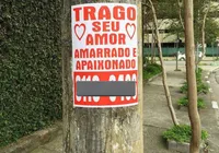 Colar cartaz pode dar prisão? Nova lei proíbe propagandas na cidade