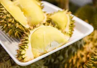 Comeria? Fruta mais fedida do mundo e o motivo chocante da proibição imagem