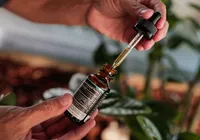 Cultivo de cannabis vai reduzir custo de medicamentos na Bahia imagem