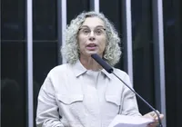 Deputada aciona Justiça contra proibição de cotas raciais imagem