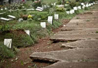 Doença letal tem primeira morte confirmada no Brasil em 2026 imagem