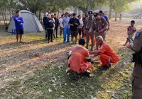 Elefante no cio pisoteia e mata três pessoas em parque na Tailândia