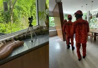 Ex-atriz da Globo encontra cobra em casa e aciona bombeiros