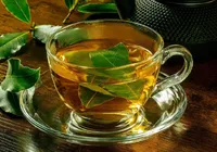 Gases e inchaço? Confira os chás certeiros para aliviar desconfortos imagem