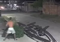 Homem agride cachorro com paralelepípedo na Bahia imagem