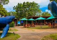 Livro e reggae no Espaço da Baleia