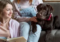 Nova lei permite enterro de pets em jazigos da família de tutores