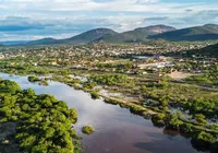 Piranhas na Bahia: entenda o comportamento desses peixes e os riscos reais para banhistas imagem