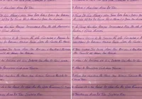 Regras, silêncio e punições: manual do BDM é encontrado em presídio