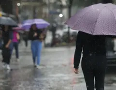 ‘Cacau vai cair!’: 153 cidades da Bahia entram em alerta para chuvas - Imagem