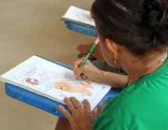 Bahia tem 331 municípios premiados por alfabetização - Imagem