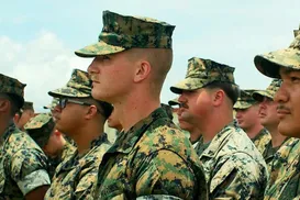 Apenas 4 episódios: nova série da Netflix sobre guerra vira sucesso - Imagem