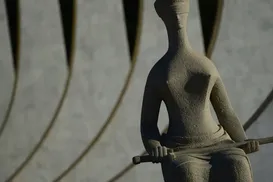 Atuação fiscalizatória - Imagem