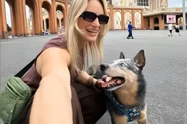 Cão sobrevive após acidente e não deixa tutora morta em rodovia - Imagem