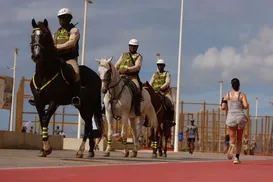 Cavalos vão reforçar segurança de Salvador ao longo do verão - Imagem