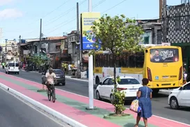 Colisão entre dois ônibus deixa passageiro ferido na Avenida Suburbana - Imagem
