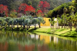 Destino brasileiro está entre os 52 lugares para se conhecer em 2026 - Imagem