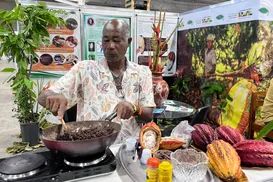 Eis o Nibis, o cacau caminhando para além do chocolate - Imagem