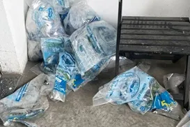 Fábrica de gelo na Bahia é interditada por produto sem procedência - Imagem