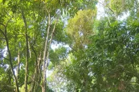 Fazenda é punida por venda irregular de lote no Vale do Jiquiriçá - Imagem