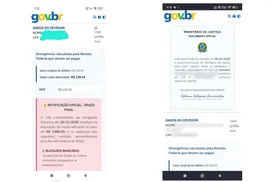 Golpe que imita site cresce e usa artimanha para convencer usuários - Imagem