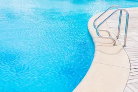 Idosa de 79 anos morre afogada ao tentar salvar cachorro em piscina - Imagem