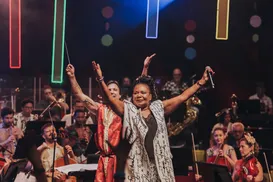 Ivete, Margareth e mais: como será concerto de apoio ao Martagão - Imagem