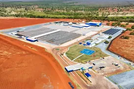 Macaúba: empresa árabe investe US$ 3 bilhões em biocombustíveis no Brasil - Imagem