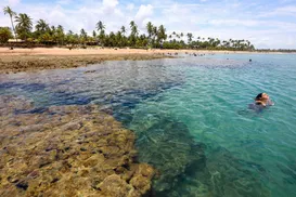 Paraísos baianos entram na lista de melhores praias para viajar com crianças - Imagem