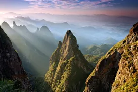 Parque Nacional da Serra dos Órgãos lidera ranking de riqueza de flora - Imagem