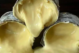 Queijo brasileiro entra na lista de melhores do mundo por revista americana - Imagem