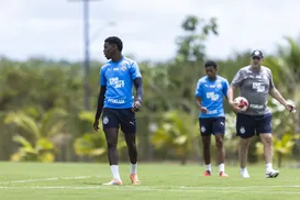 Rogério Ceni faz pedido pessoal à diretoria sobre base do Bahia - Imagem