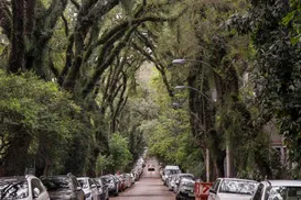 Rua no Brasil supera destinos famosos e vira a mais bonita do mundo - Imagem