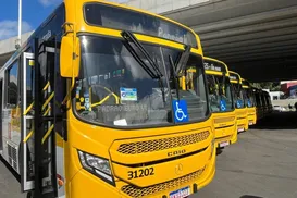 Santa Cruz e Vale das Pedrinhas ganham novas linhas de ônibus - Imagem