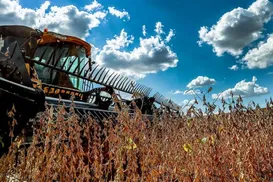 Setor agropecuário movimenta R$ 28,7 bilhões e cresce na Bahia - Imagem