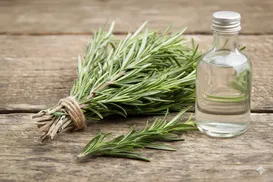 Truque caseiro de alecrim e vinagre promete turbinar a limpeza da casa - Imagem