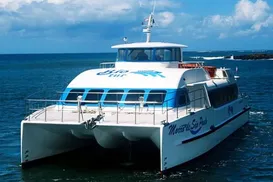 Turistas lotam catamarãs rumo a Morro de São Paulo para o Réveillon - Imagem