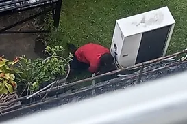 Vídeo: homem foge pelo telhado de órgão público em Salvador após furto - Imagem