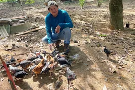 Adeus garimpo: Tecnologias agricolas são implantadas na terra Yanomami - Imagem