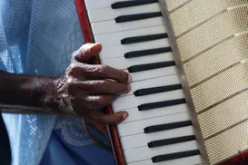 Artistas denunciam "apagamento" do forró na Bahia e cobram prioridade em editais - Imagem