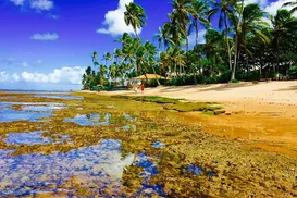 Bahia na lista: cinco destinos turísticos para curtir o Carnaval - Imagem