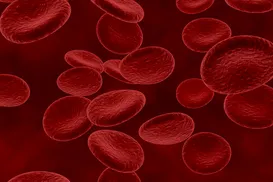 Câncer do colo do útero: Novo exame usa sangue menstrual para detecção - Imagem